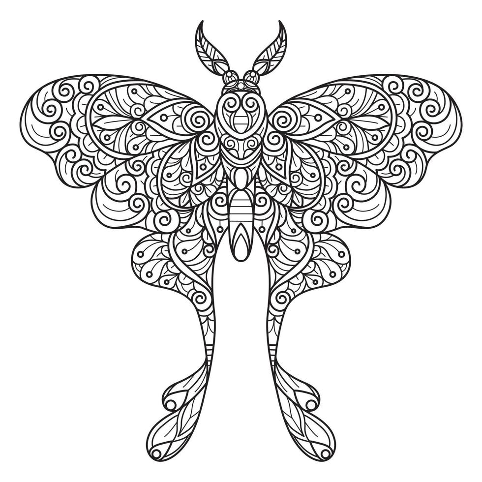 Butterfly hand drawn for adult coloring book vector