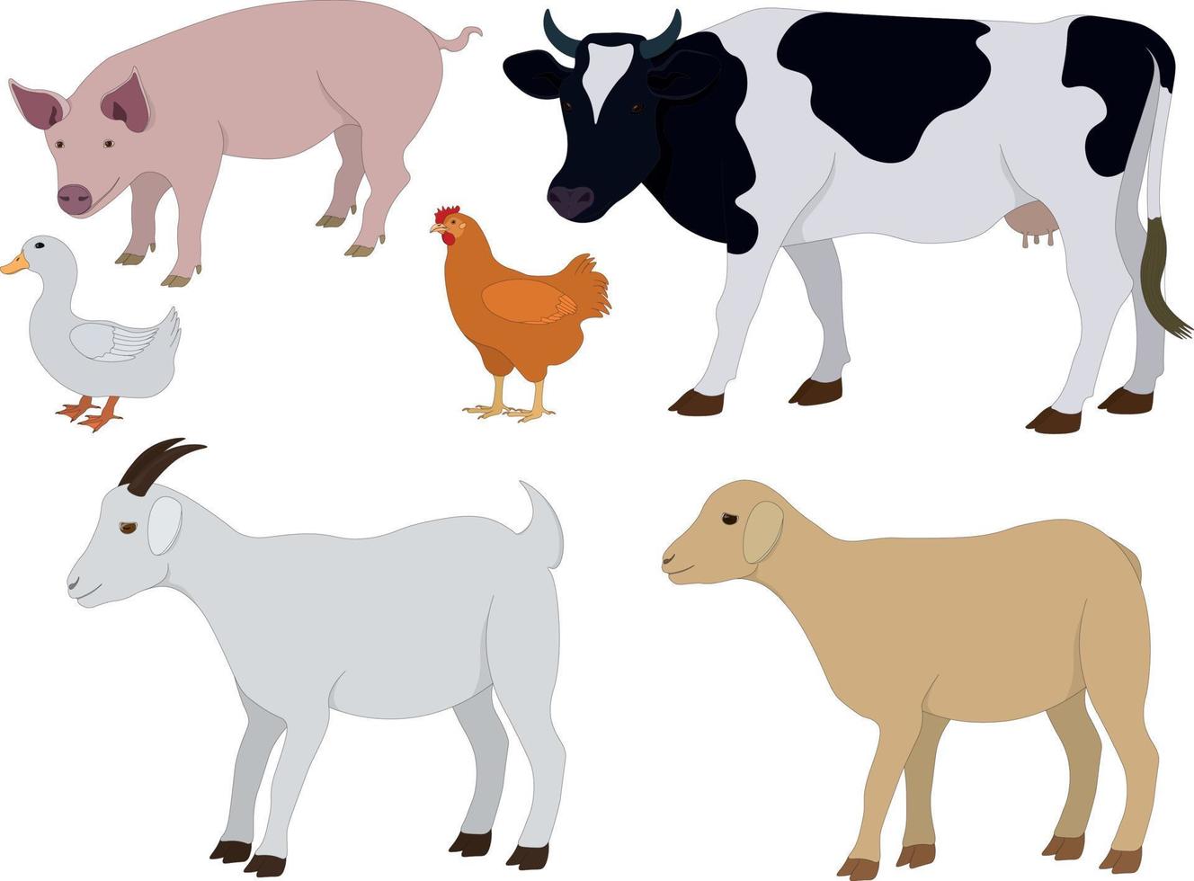 Domestic farm animals and birds collection vector illustration