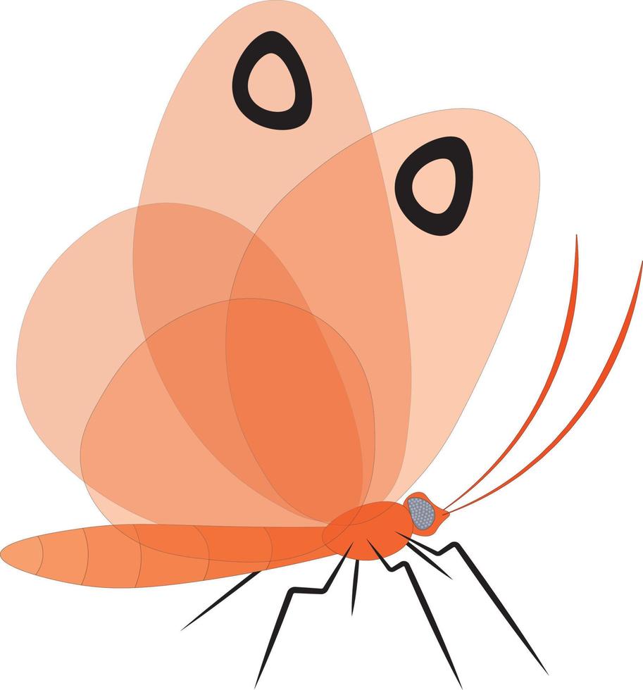 Orange with black dots butterfly vector illustration