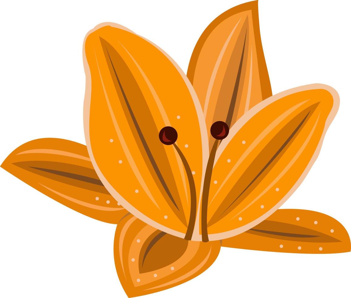 Daylily flower vector art for graphic design and decorative element