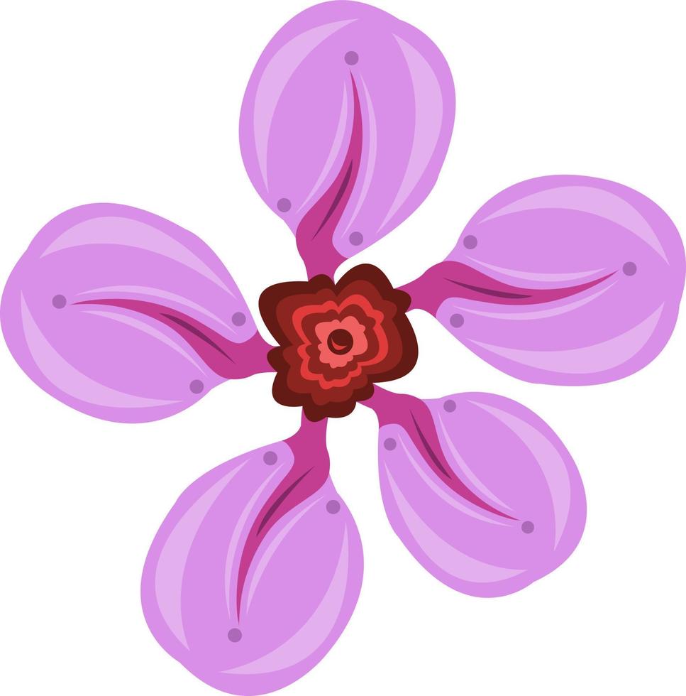 arte de vector de flor de bergenia para diseño gráfico y elemento decorativo