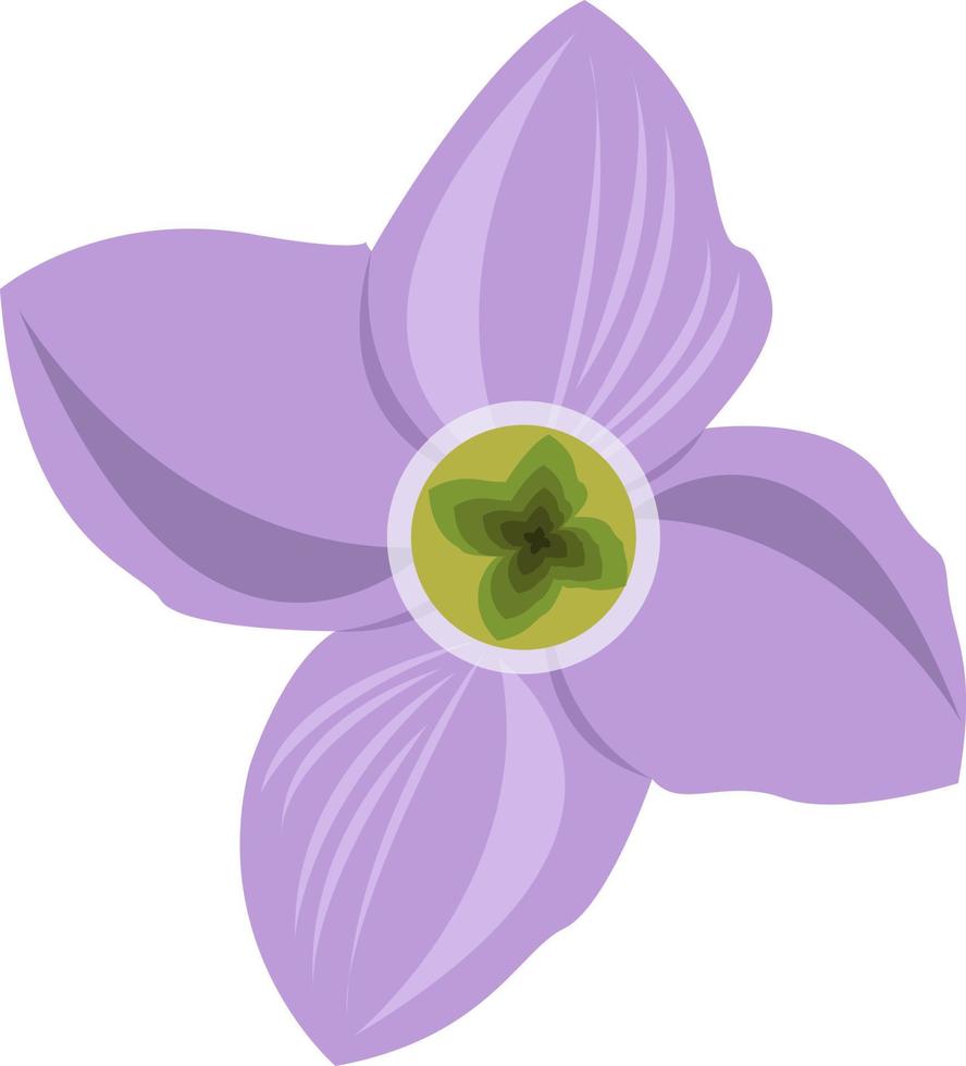 Cuckoo flower vector art for graphic design and decorative element