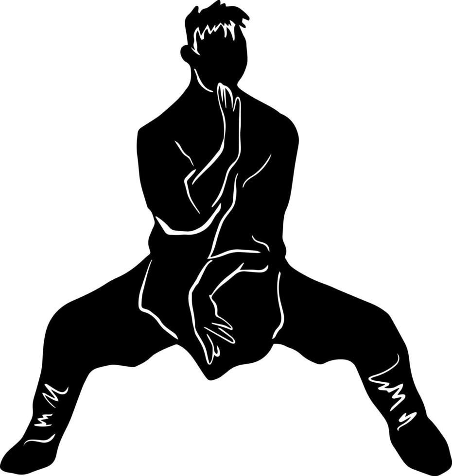 luchador de kung fu de icono vector