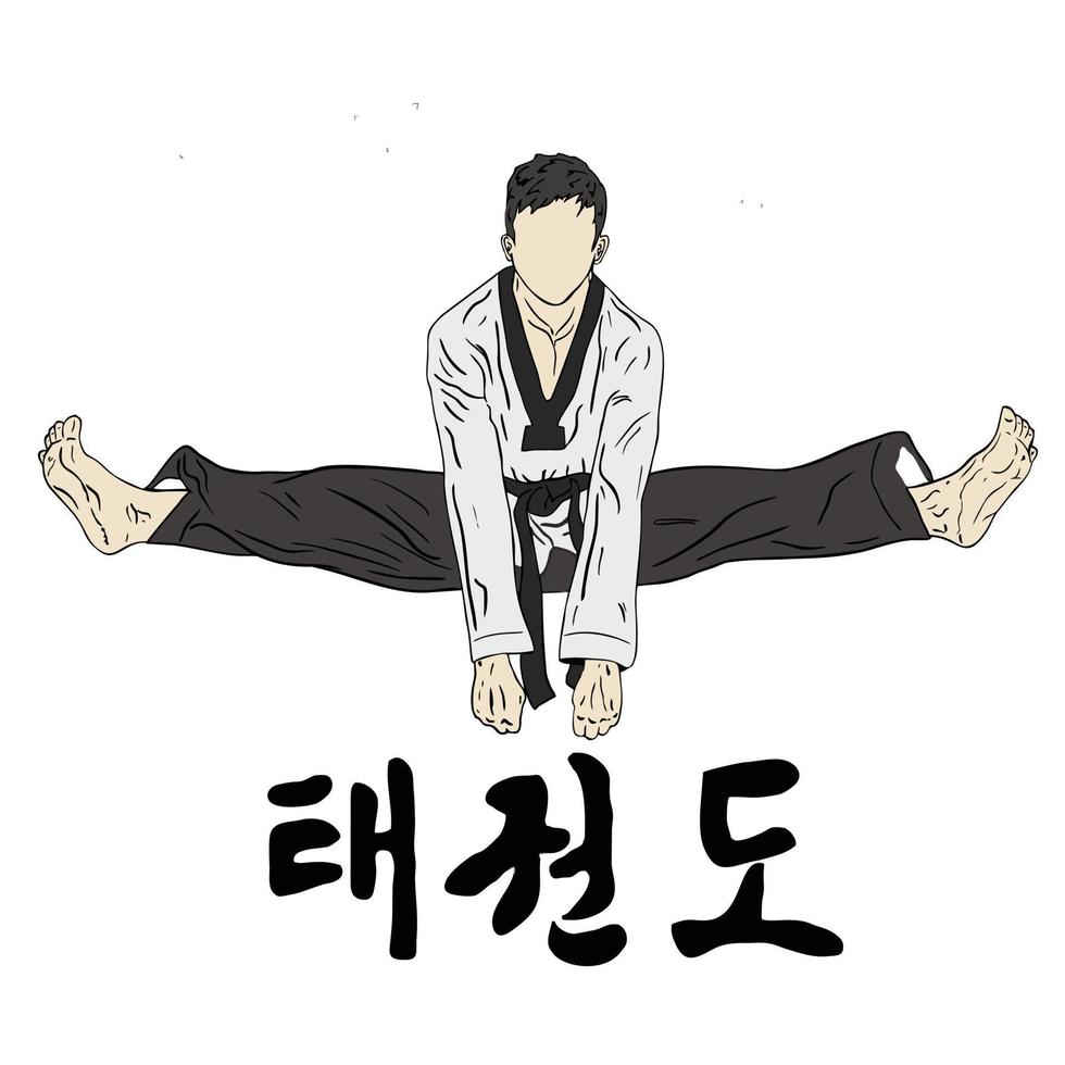 Goreign language means taekwondo vector kick pose and technique