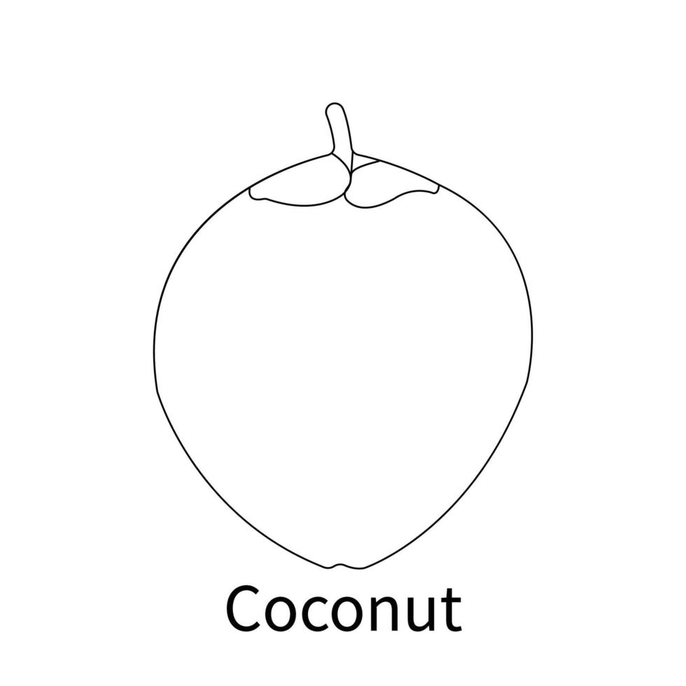 frutas fáciles para colorear para niños y niños pequeños coco 9098717 Vector en Vecteezy frutas fáciles para colorear para niños y niños pequeños coco 9098717 Vector en Vecteezy