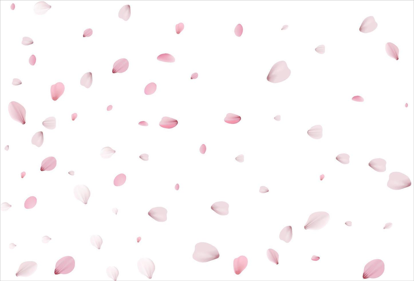 telón de fondo de pétalos de cerezo. fondo de pétalos de sakura. vector