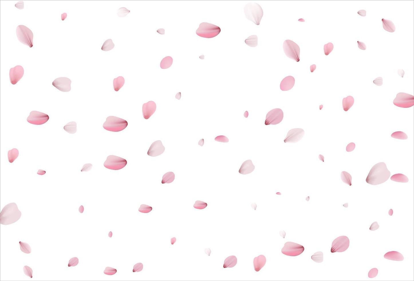 Cherry petals backdrop. Sakura petals background. vector