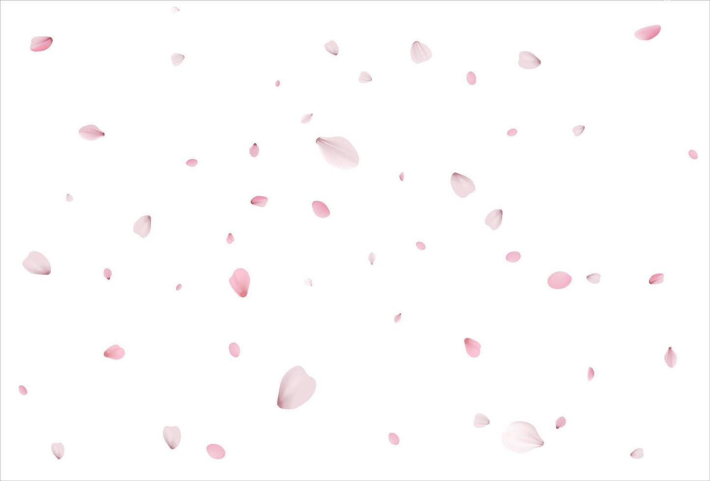 Sakura petals background. Cherry petals backdrop vector