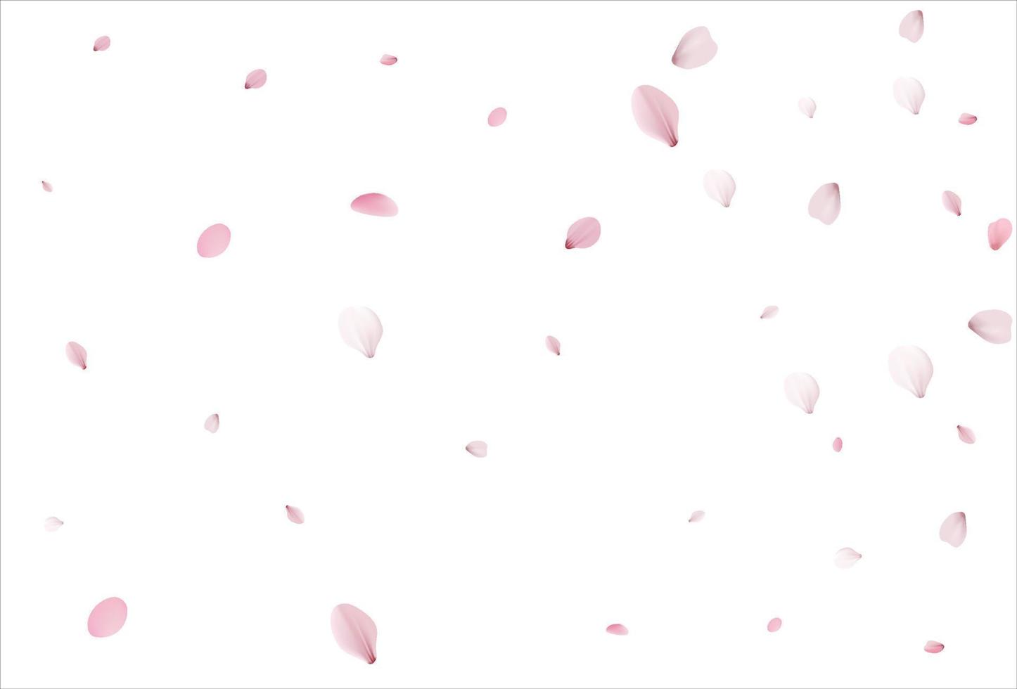 Cherry petals backdrop. Sakura petals background. vector