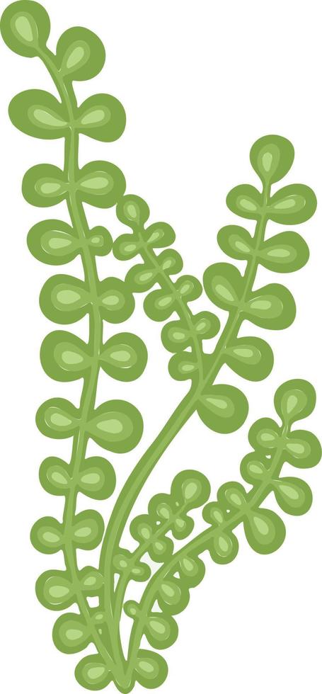 Algae green plant freehand drawing vector cartoon style