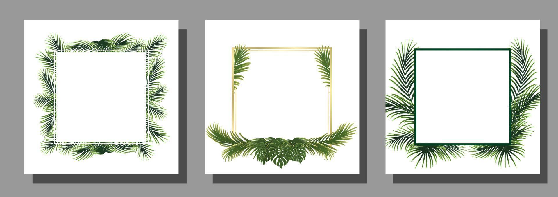 set of frame with palm leaf vector