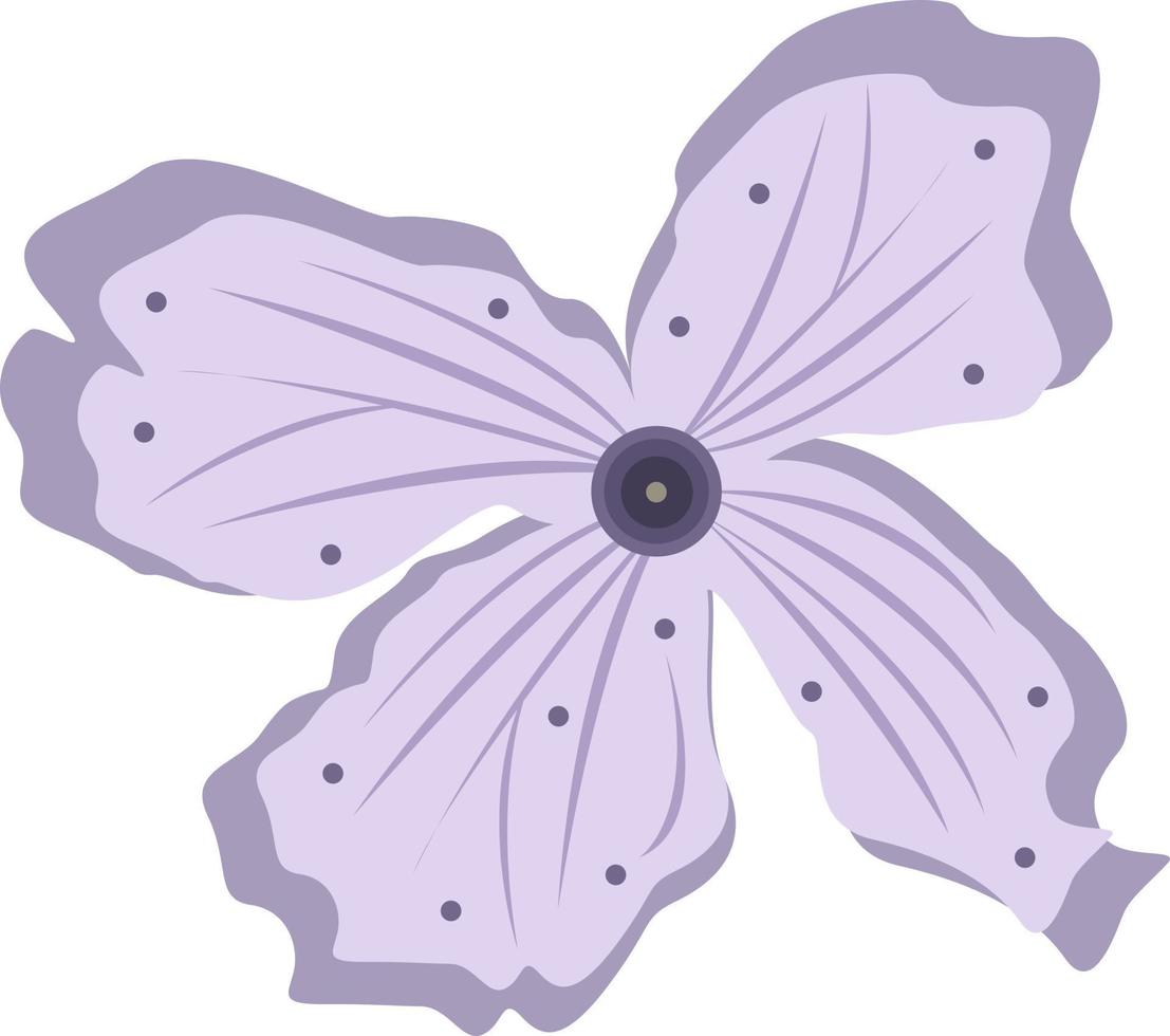 Lunaria flower illustration for graphic design and decorative element vector