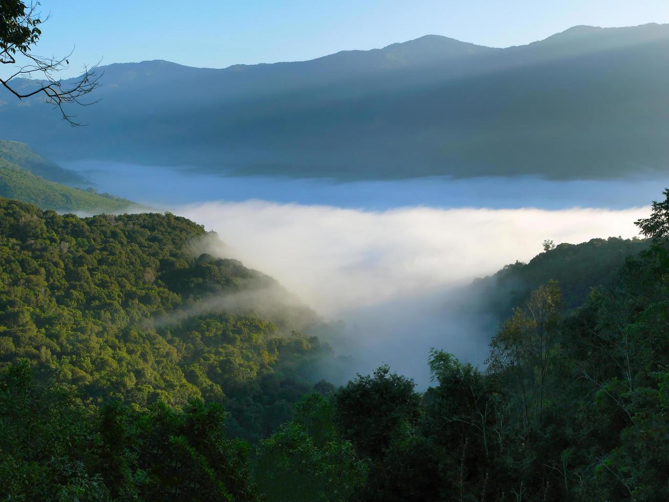 paisaje de la montaña cubierta de niebla por la mañana con rayos de sol calientes para papel tapiz de fondo foto