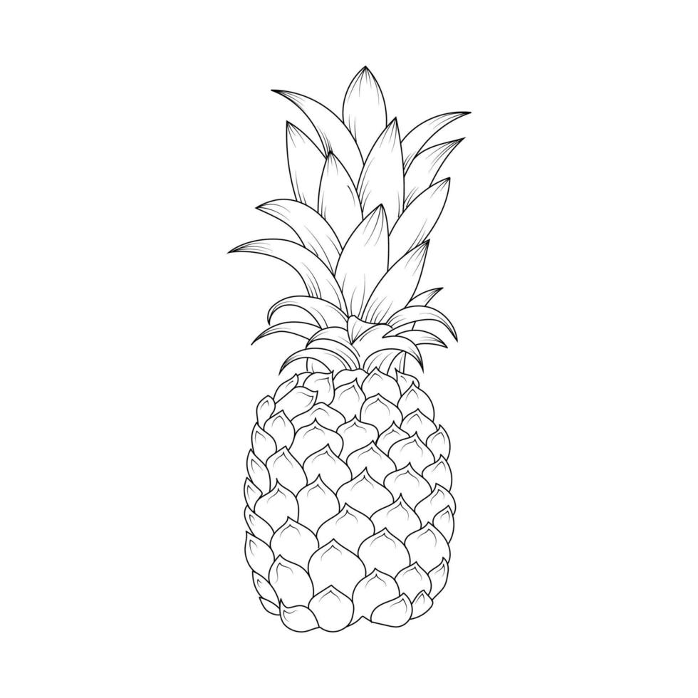 ilustración de arte de línea, ilustración de vector de fruta de verano para libro de colorear, ilustración de contorno de frutas