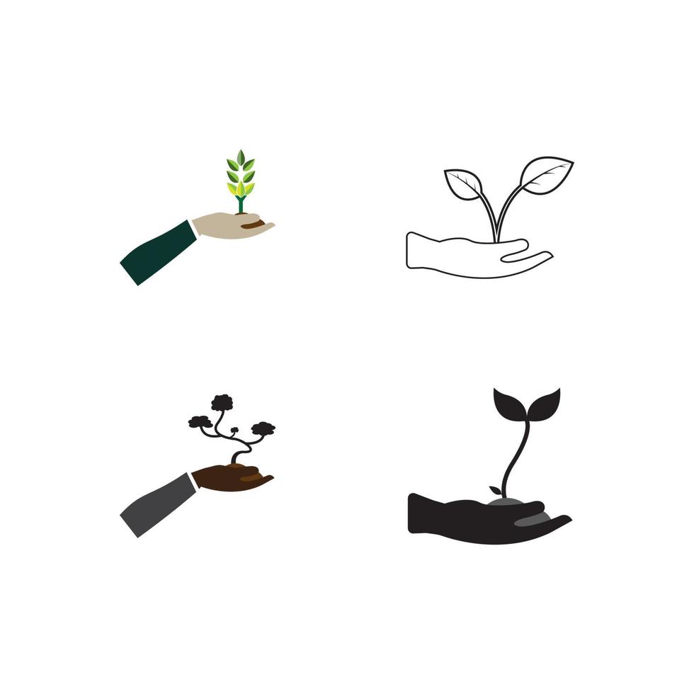 plant logo vector illustration design template.