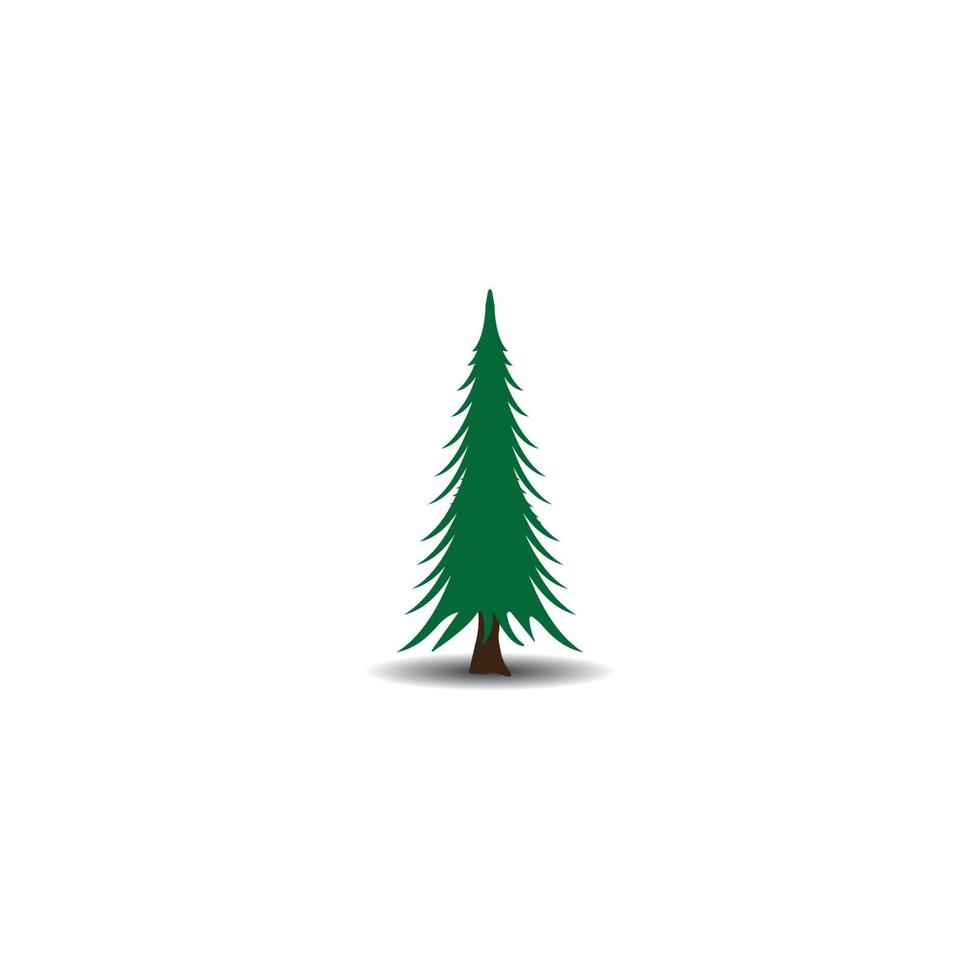 Spruce icon vector illustration design template