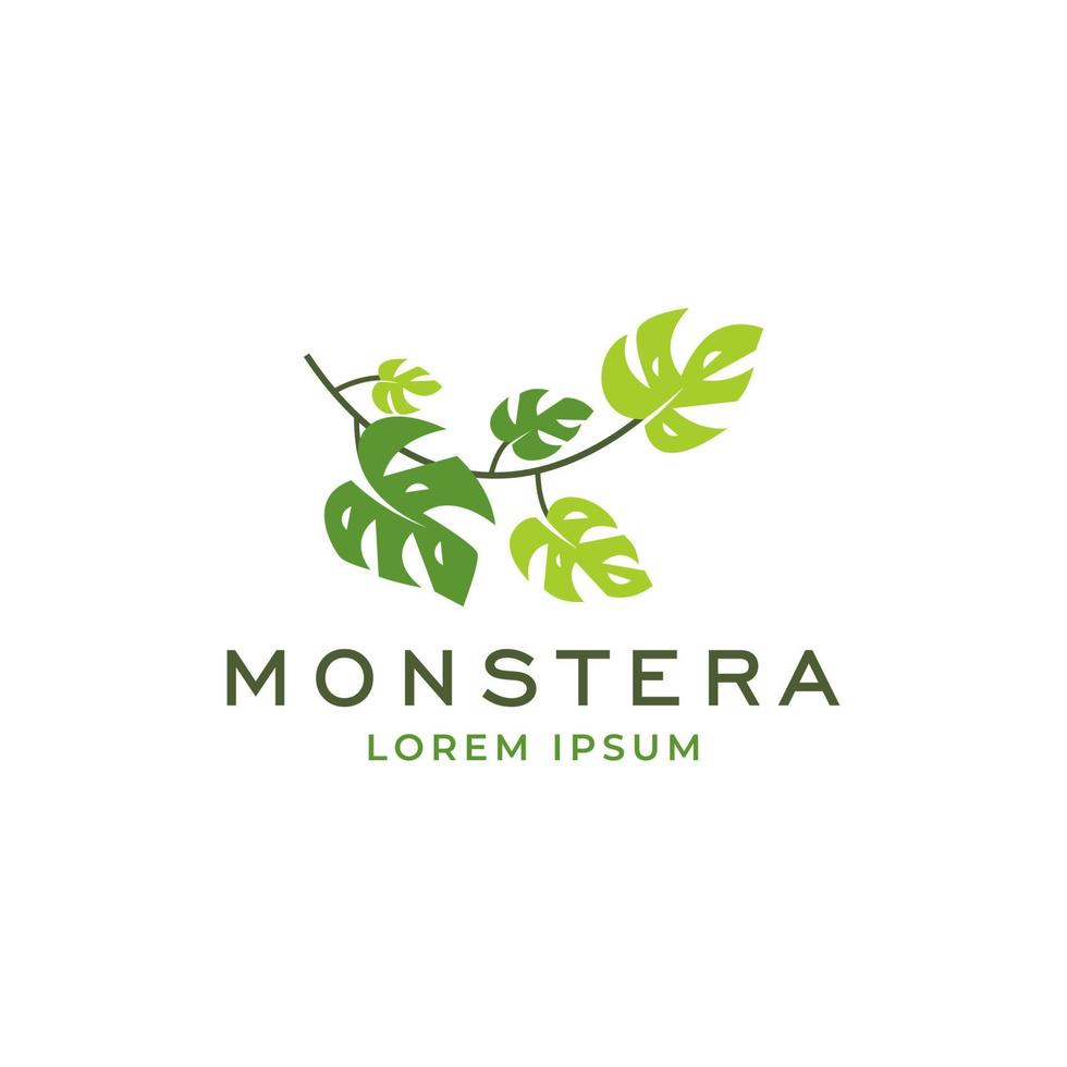 logotipo de hojas de plantas tropicales. diseño de logotipo de hojas de monstera. ilustraciones vectoriales. vector