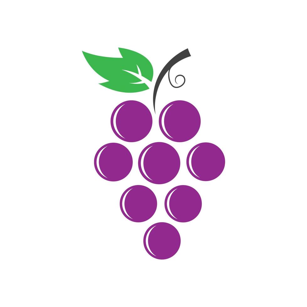 logotipo vectorial de uvas vector