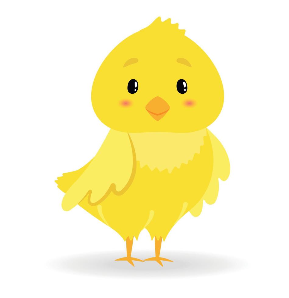 Cute baby chicken little chracter for kids. Flat vector illustration