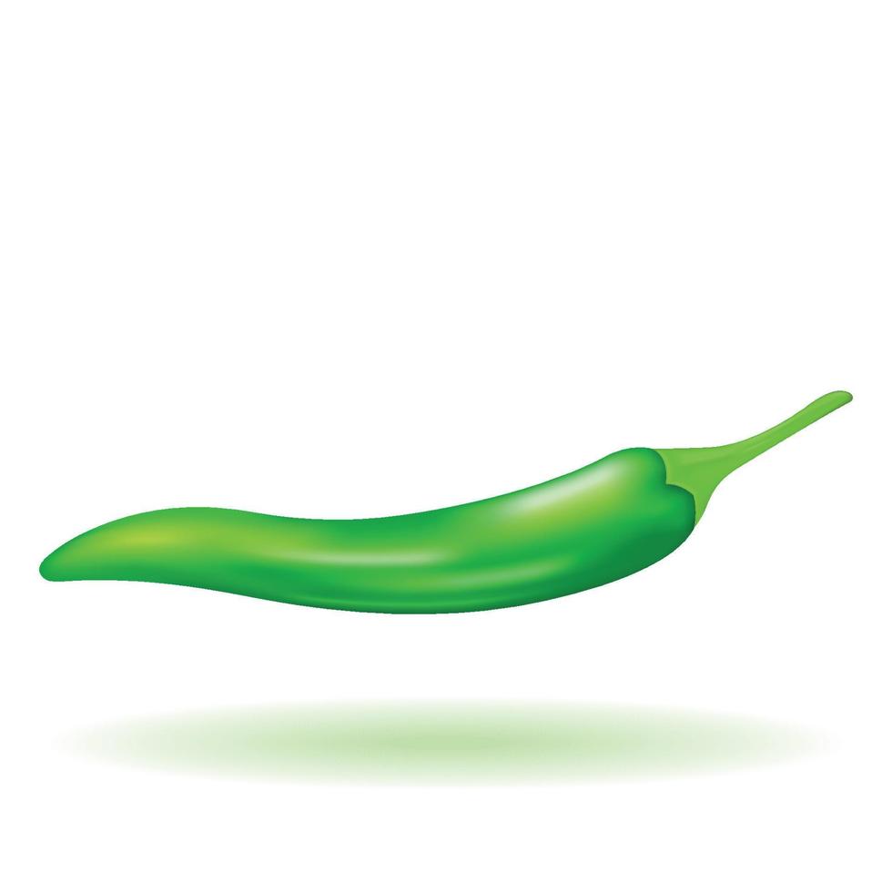 Green chili pepper on a white background, hot spicy vegetable. 3D vector illustration. EPS10