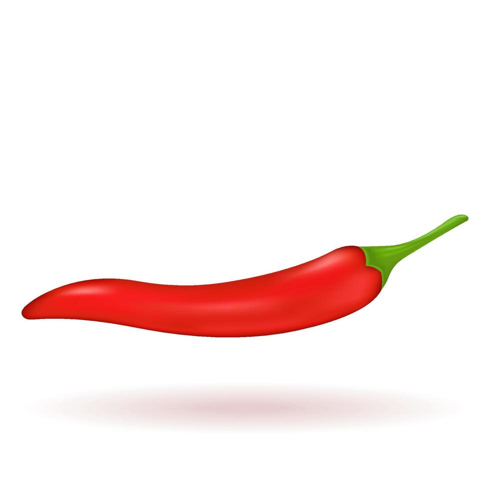 Red chili pepper on a white background, hot spicy vegetable. 3D vector illustration. EPS10