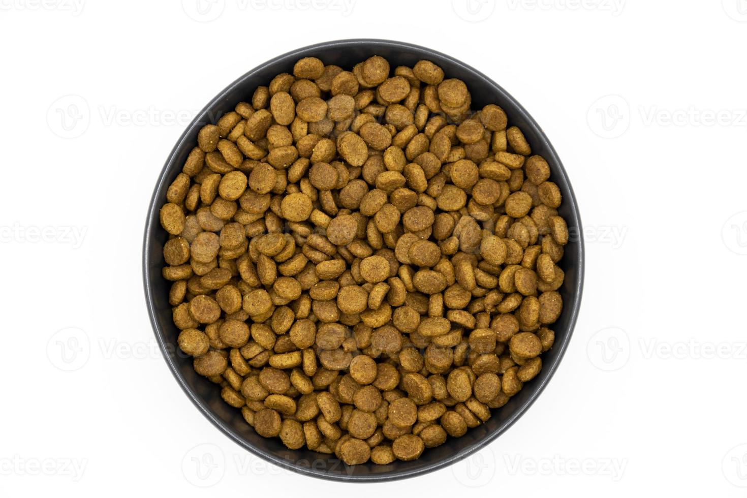 cat food in a ceramic bowl isolated on white background. Healty dry pet food. photo