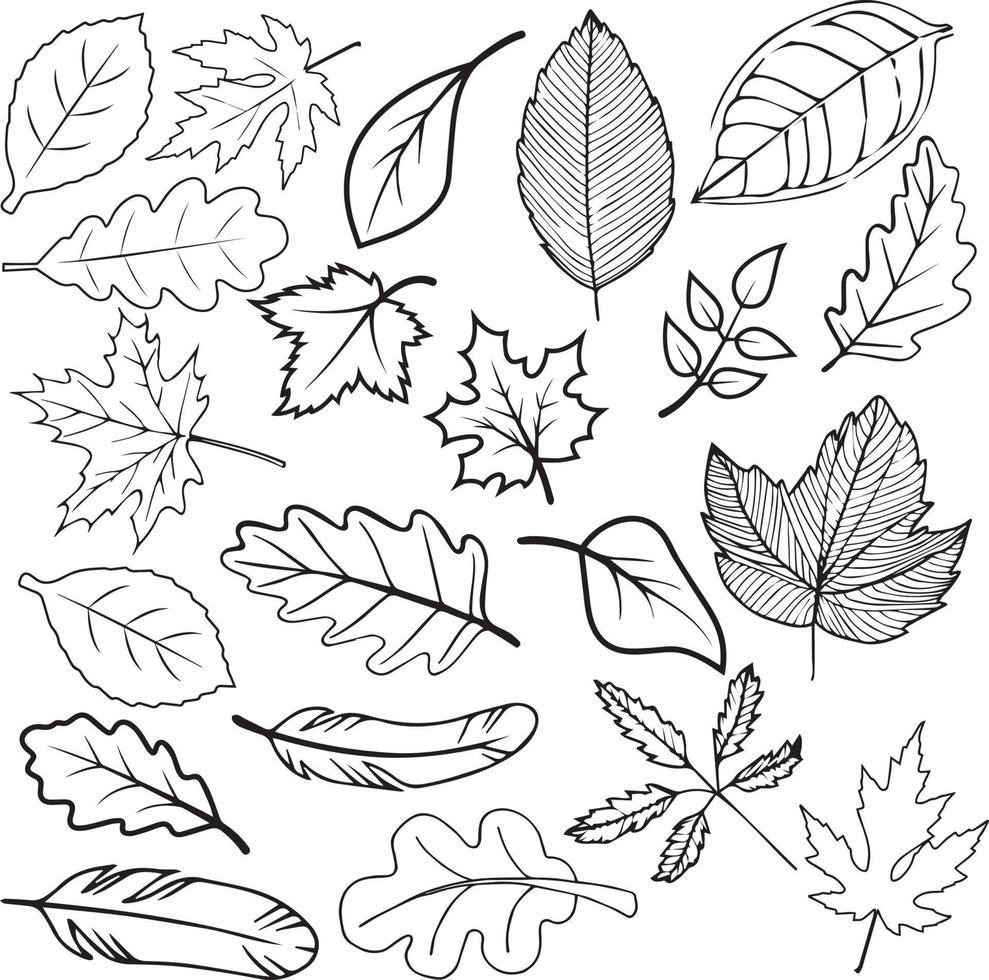 Vector Leaf Background Illustration