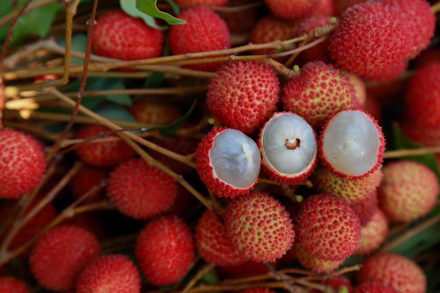 Lychee, Fresh lychee and peeled showing the red skin and white flesh with green leaf . photo