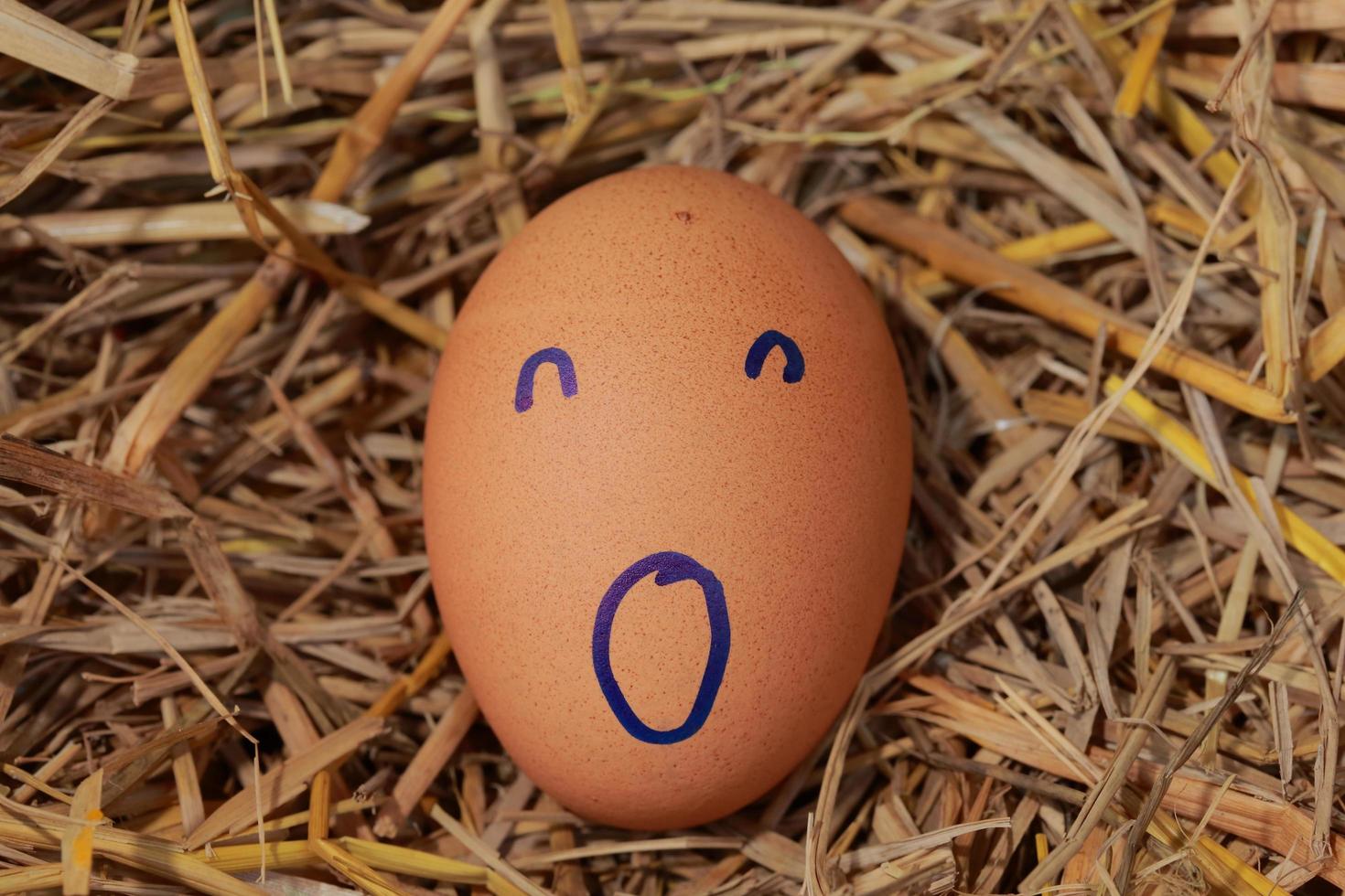 Emotion of fresh eggs  on a straw. photo