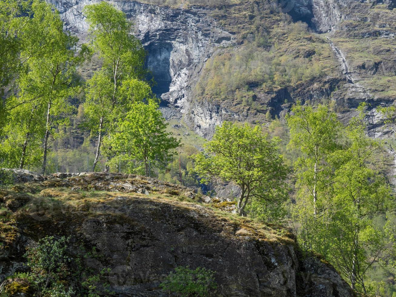 spring tiime at flam in norway photo