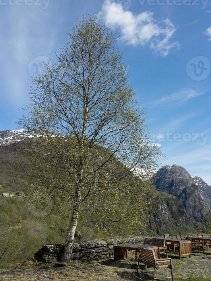 the village of flam in norway photo