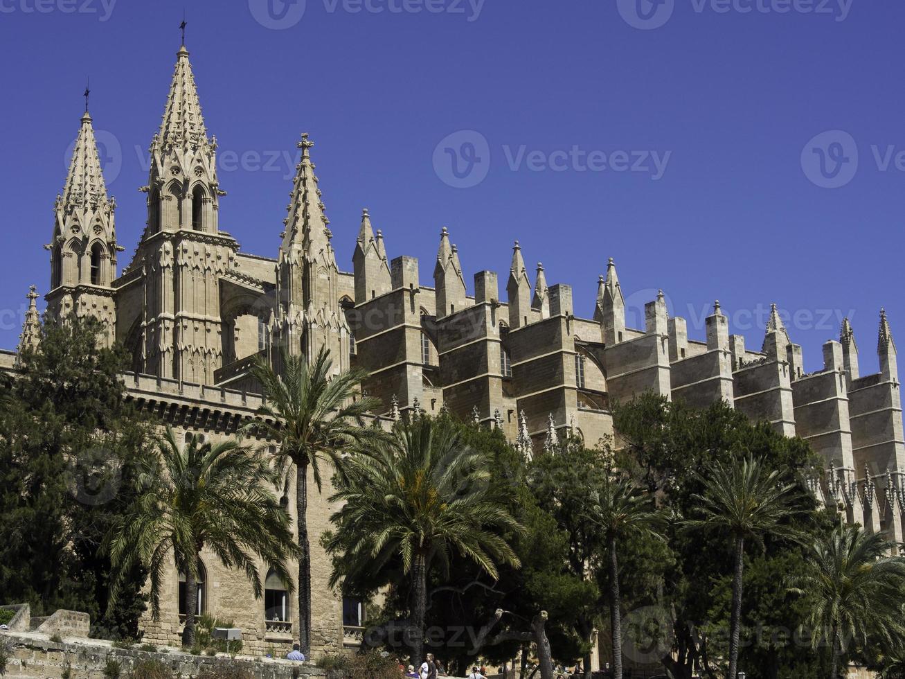 Palma de Mallorca in spain photo