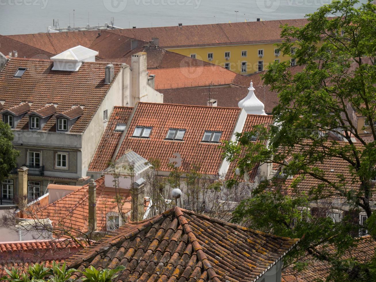 the city of lisbon photo