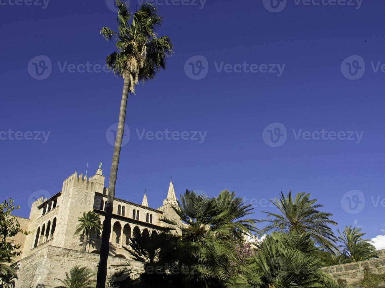 Palma de Mallorca in spain photo