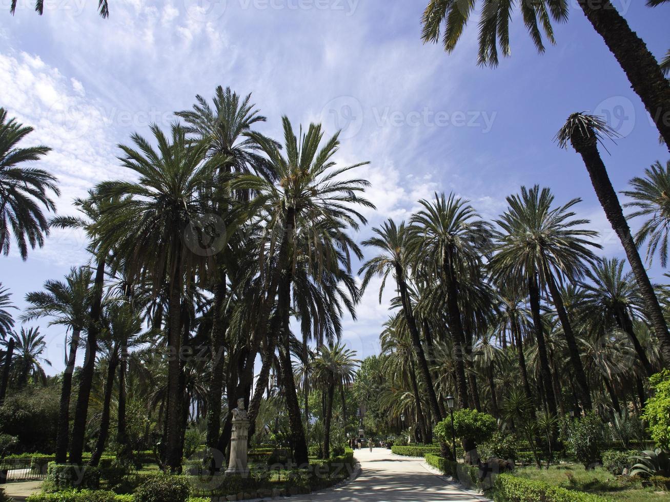 Palermo on sicilia island photo