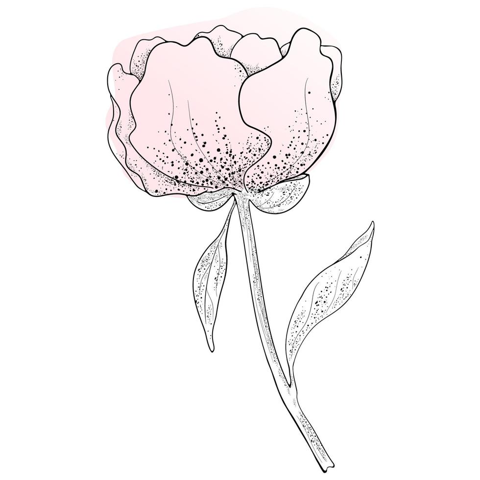 Vector Illustration Of A Flower On A White Background.