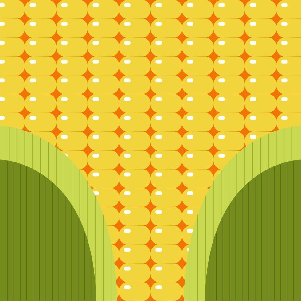 Vector background. Yellow corn, Corn grain in the form of a seamless background. Maize plant. Realistic vector creative illustration