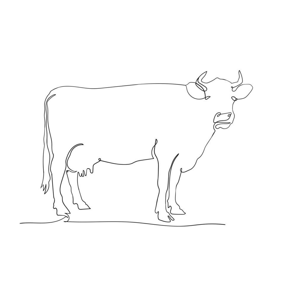 Cow stand on continuous line art drawing style, the cow sketch black linear isolated on white background, best cow vector illustration.