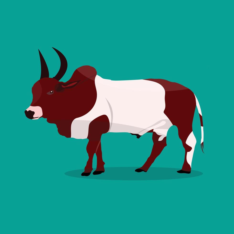 Big Bull vector illustration, Wild animal