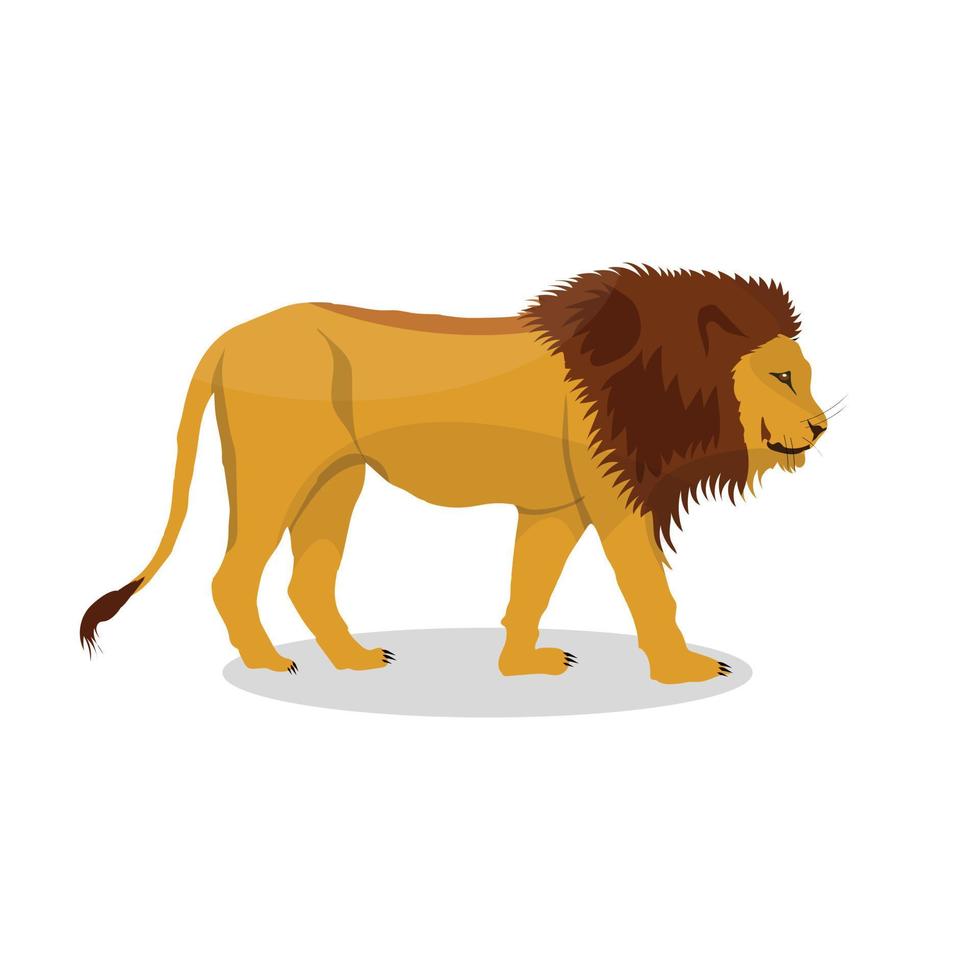 Lion with white background, the best Cartoonist lion vector ...