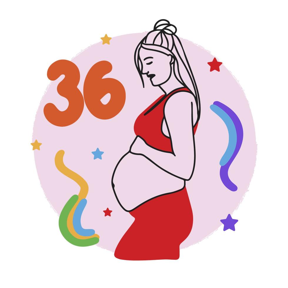 Pregnancy term, counting weeks, pregnant girl, big belly, expectant mother, doodle vector