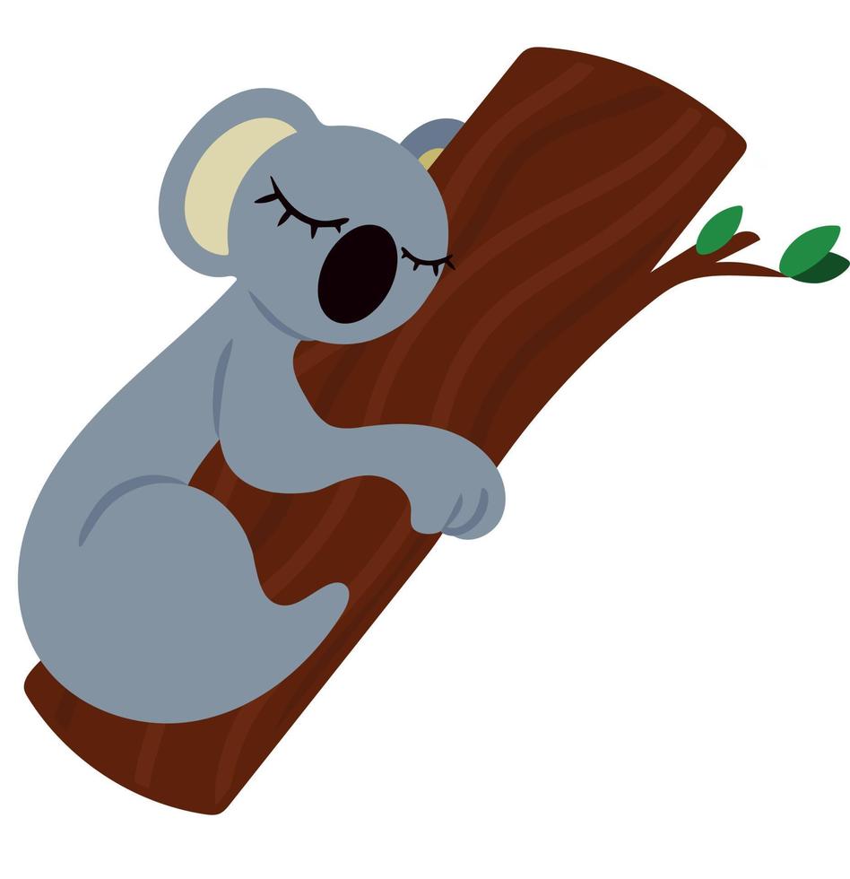 Adorable gray koala sleeping on eucalyptus tree. Vector illustration isolated on white background. Design element for printing on posters clothing posters banners posters menu notepads