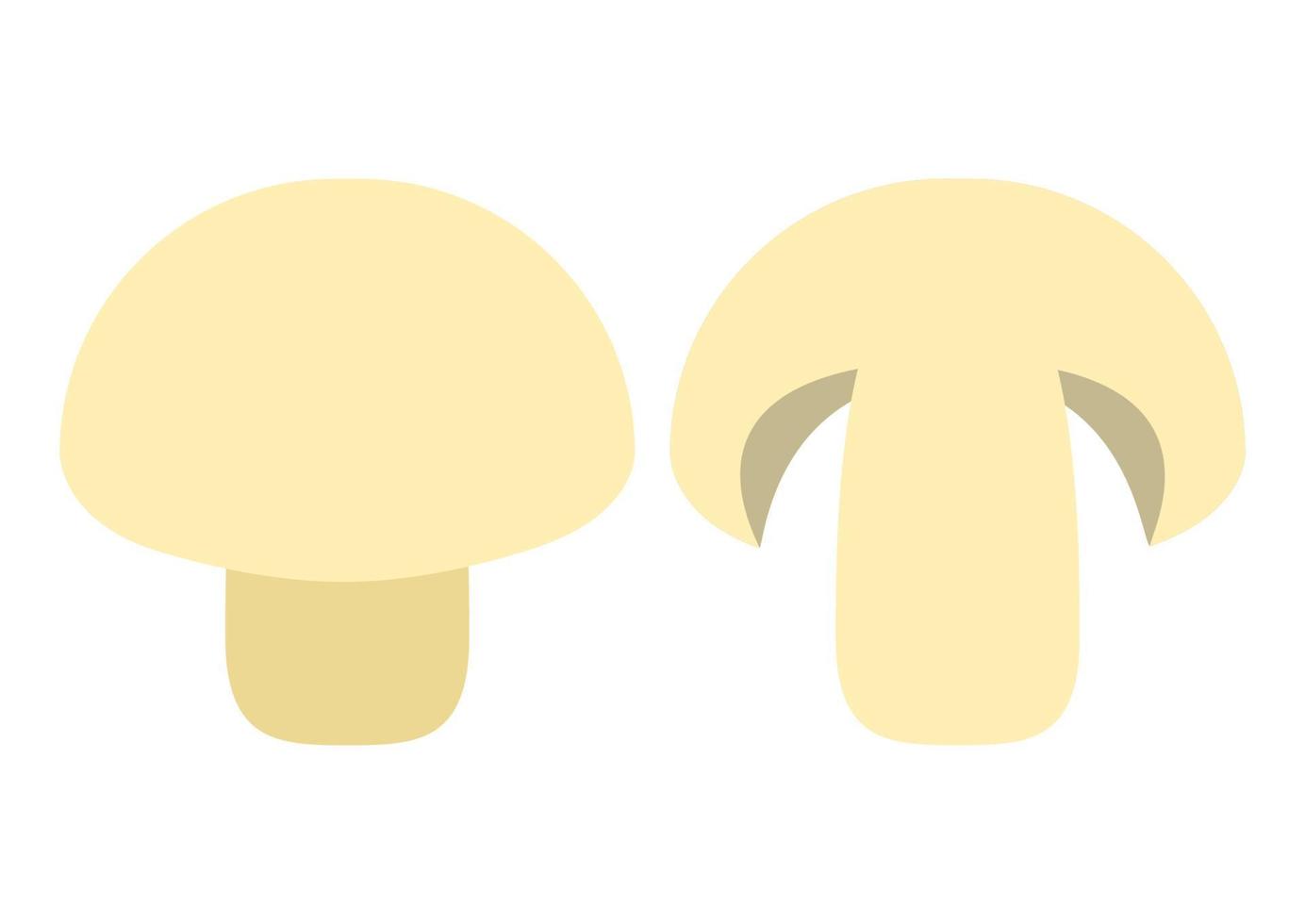 Champignon and Mushroom Slice vector