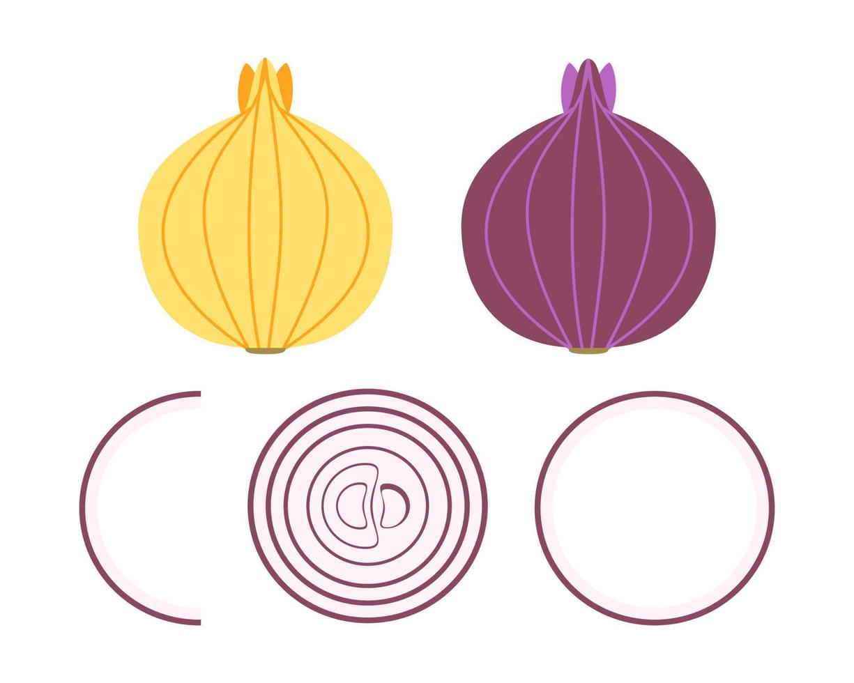 bulbo de cebolla - aros de cebolla y vegetales cortados vector