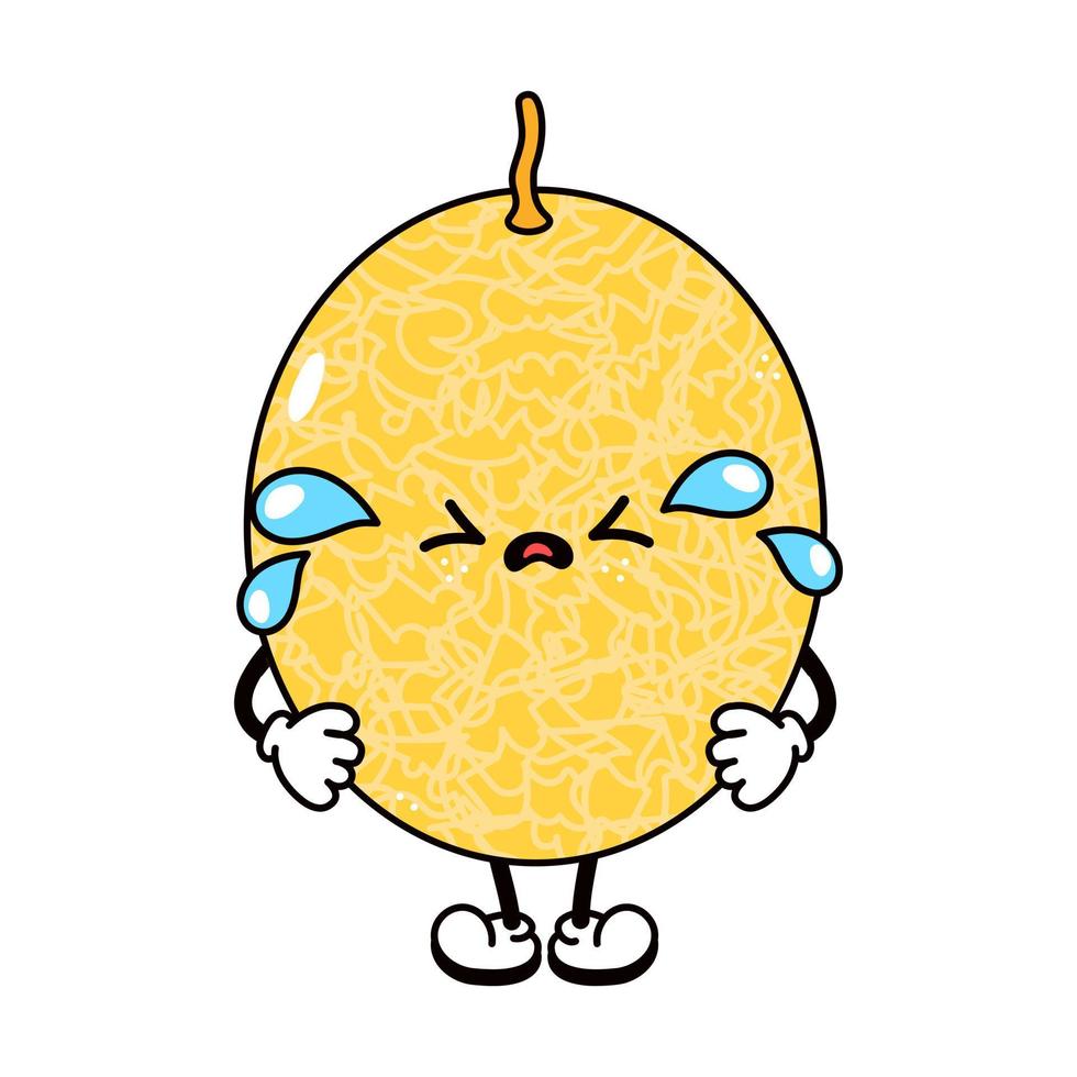 Cute funny crying sad melon character. Vector hand drawn traditional cartoon vintage, retro, kawaii character illustration icon. Isolated on white background. Cry melon character concept