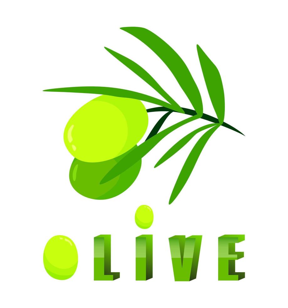 Green olive branch with fruits. Cartoon illustration isolated on white background. Vector colorful fresh organic healthy natural food. Olive oil logo branding design element. 3d green font.