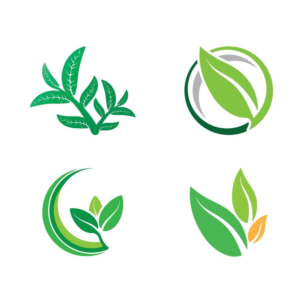 Logos of green tree leaf ecology vector