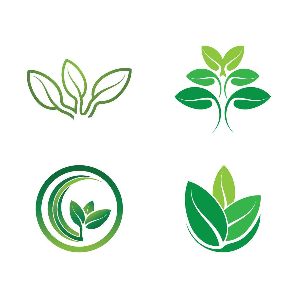 Logos of green tree leaf ecology vector