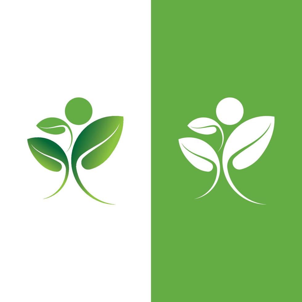 Logos of green tree leaf ecology vector