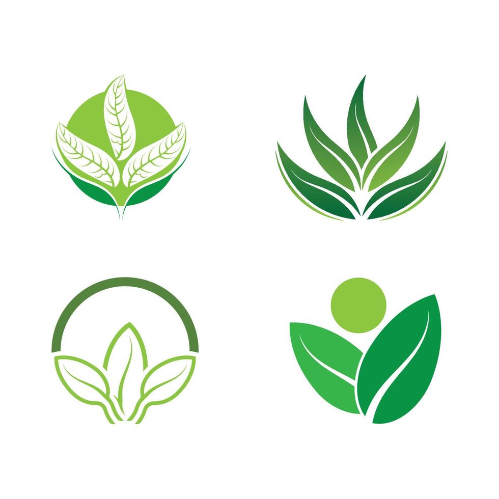 Logos of green tree leaf ecology vector